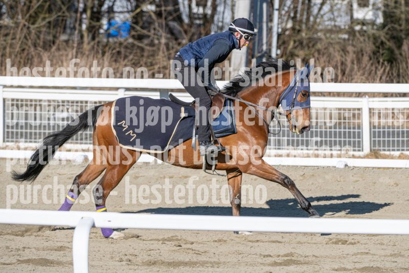 20250322-104013-DSC_5452