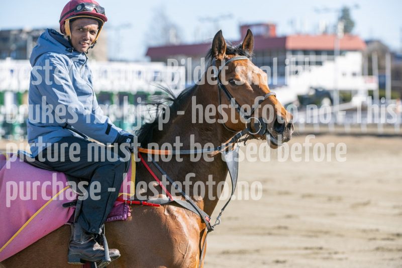 20250322-113851-DSC_5751