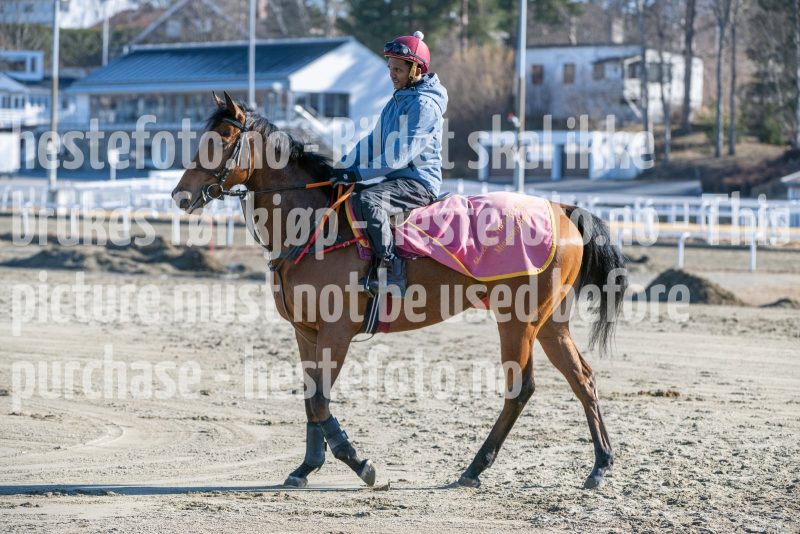 20250322-113914-DSC_5762