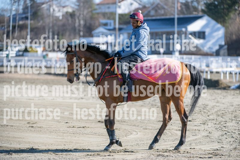 20250322-113916-DSC_5770