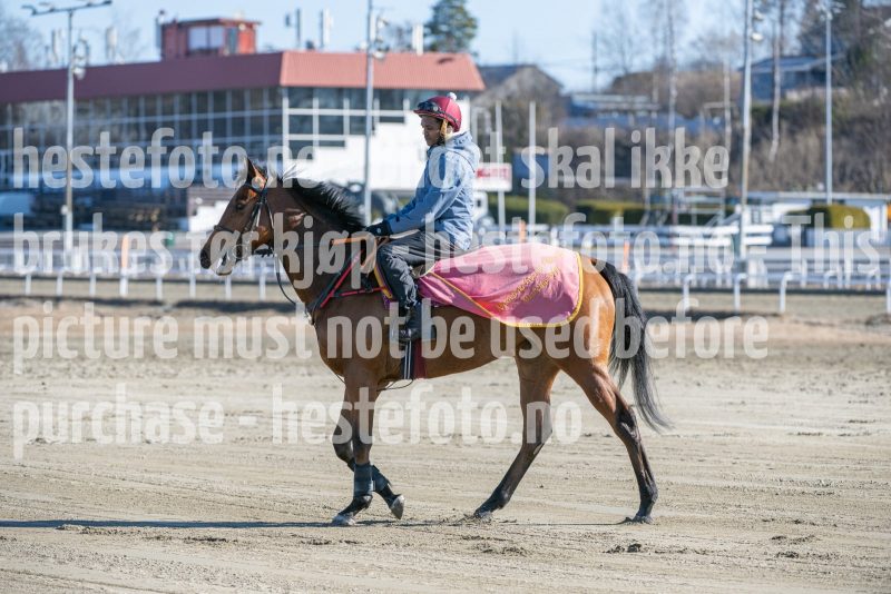 20250322-114003-DSC_5863