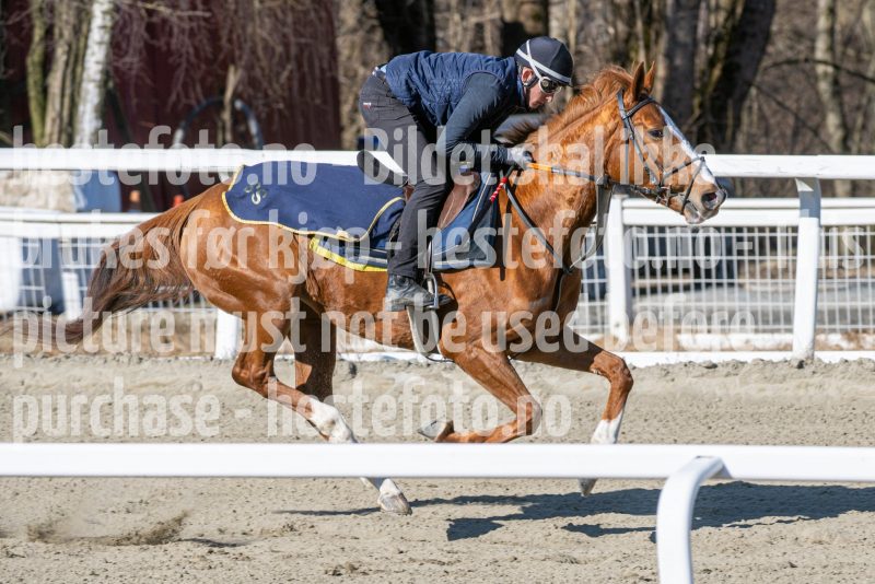 20250322-114458-DSC_6159