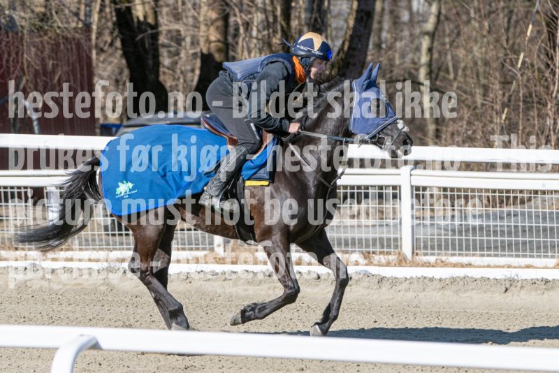 20250322-114709-DSC_6203