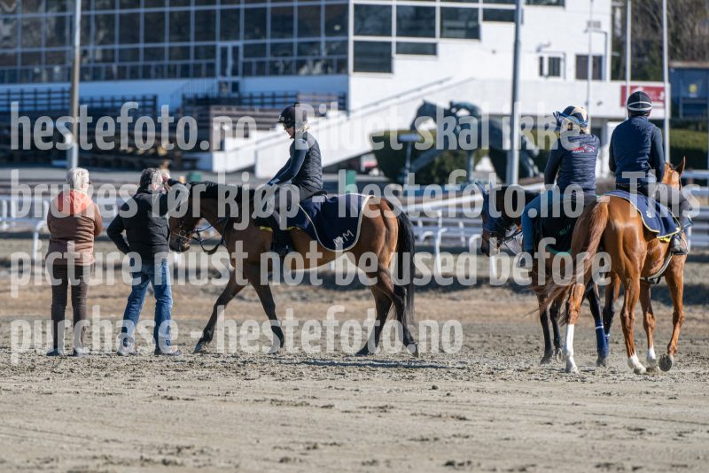 20250322-114737-DSC_6250