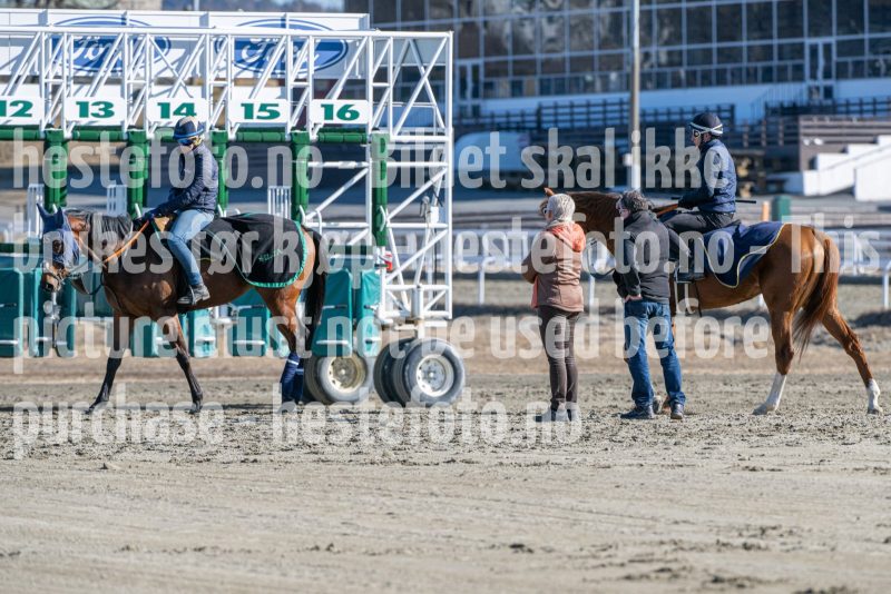 20250322-114745-DSC_6273