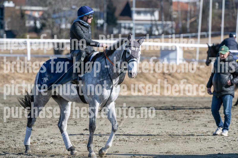 20250322-115210-DSC_6393