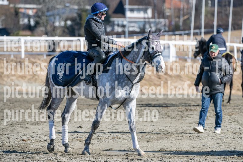 20250322-115210-DSC_6399