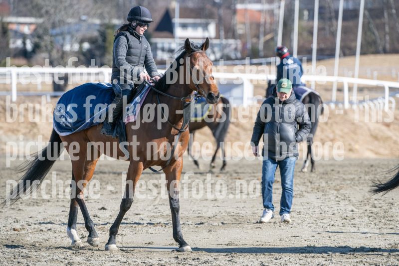 20250322-115213-DSC_6411