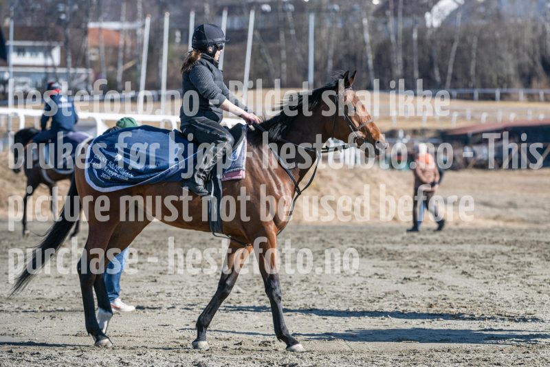 20250322-115214-DSC_6419