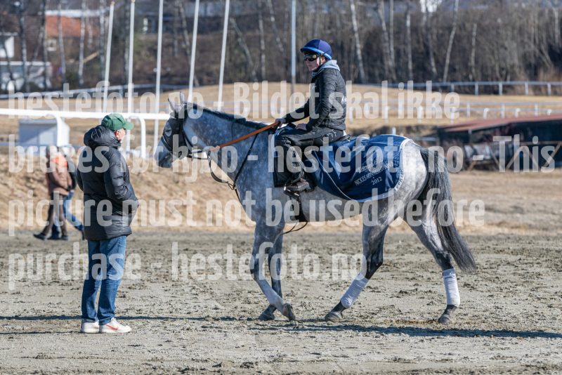20250322-115221-DSC_6427