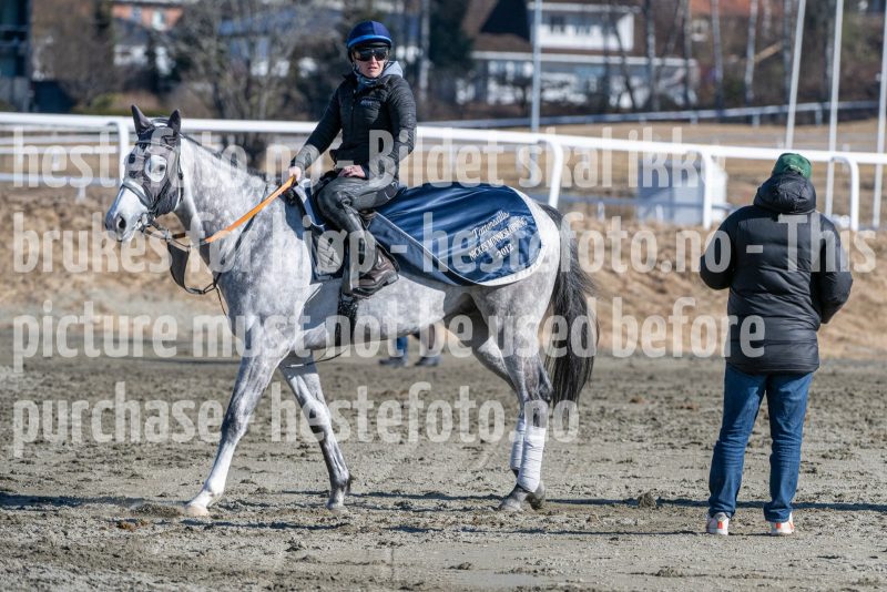 20250322-115223-DSC_6436