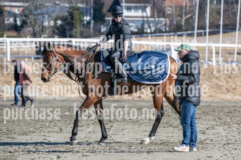 20250322-115226-DSC_6442