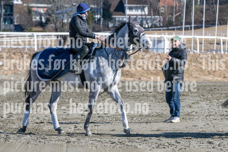 20250322-115231-DSC_6451