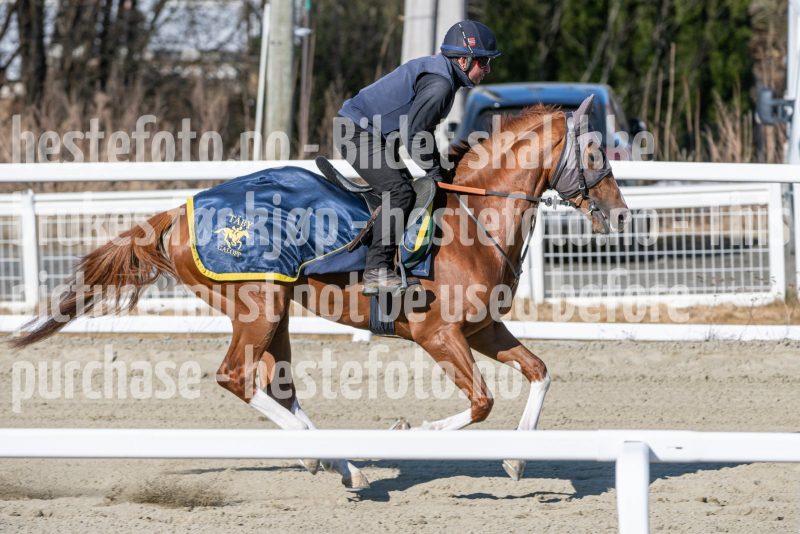 20250322-115449-DSC_6520