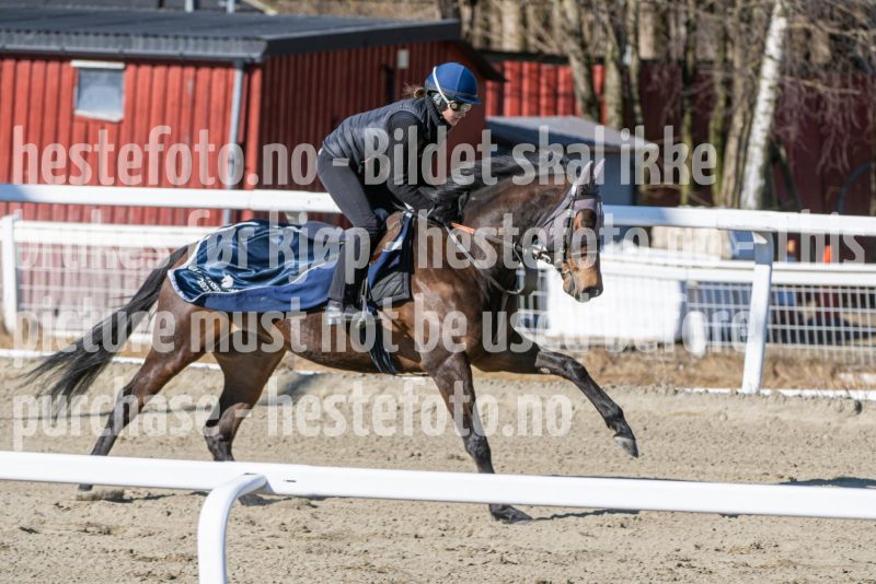 20250322-115640-DSC_6627