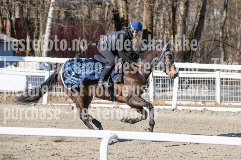 20250322-115641-DSC_6634