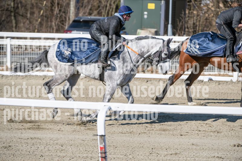 20250322-115658-DSC_6712