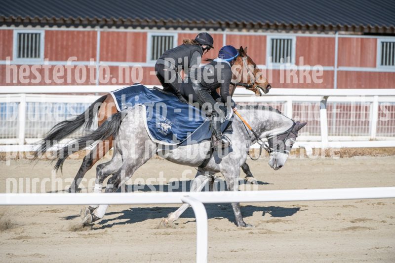 20250322-115701-DSC_6760