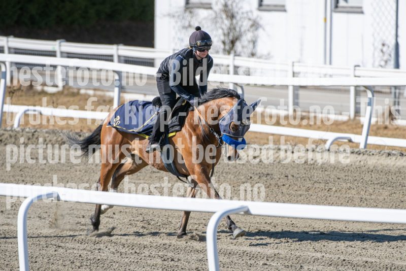 20250322-124439-DSC_6815