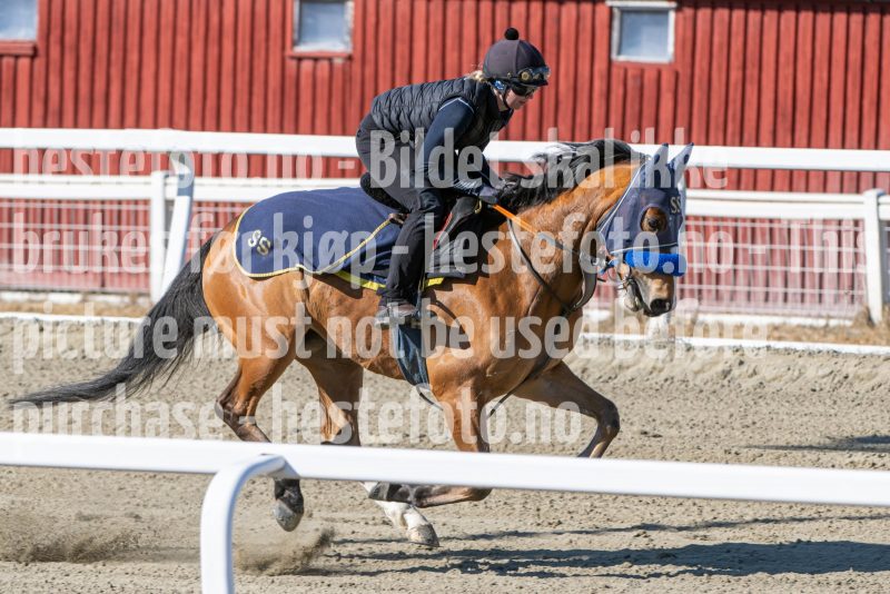 20250322-124443-DSC_6835