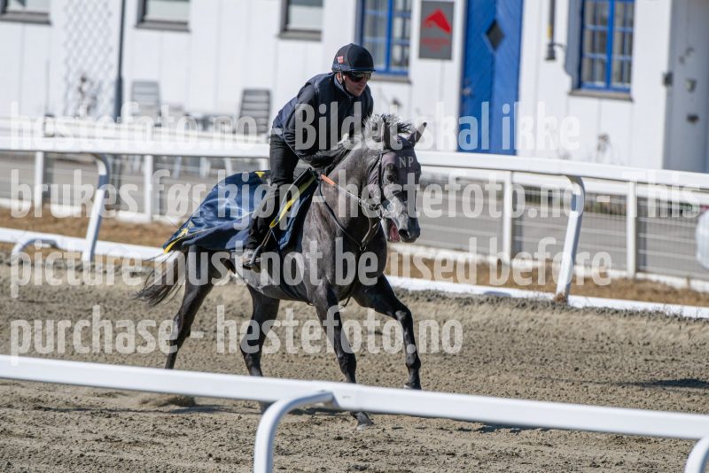 20250322-125100-DSC_7212