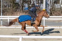 20250322-103922-DSC_5278