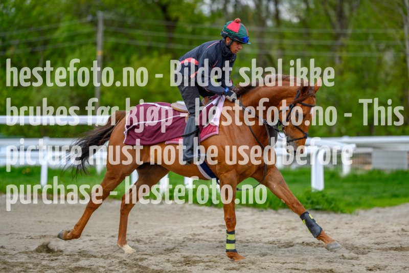 20210522-094622-DSC1171