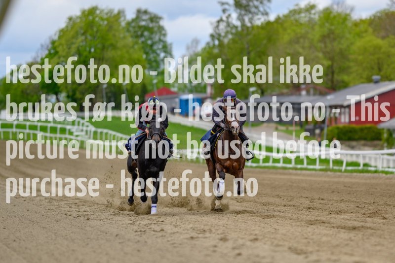 20210522-103325-DSC1237