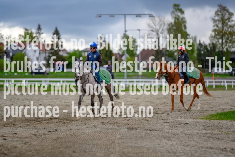 20210522-103634-DSC1269