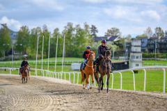 20210522-093400-DSC0891
