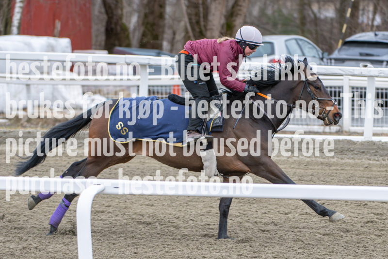 20240323-095245-DSC_1175