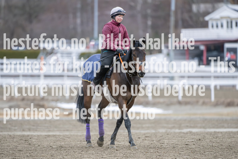20240323-095712-DSC_1268