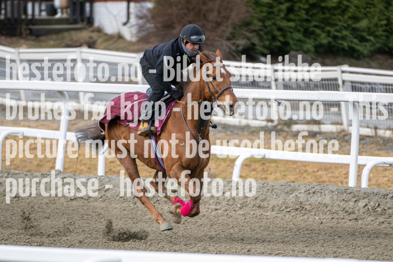 20240323-105509-DSC_2176