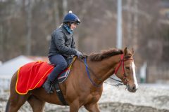 20240323-113243-DSC_2854