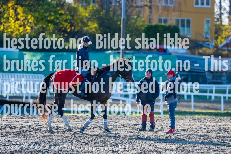 20211023-104102-DSC4031