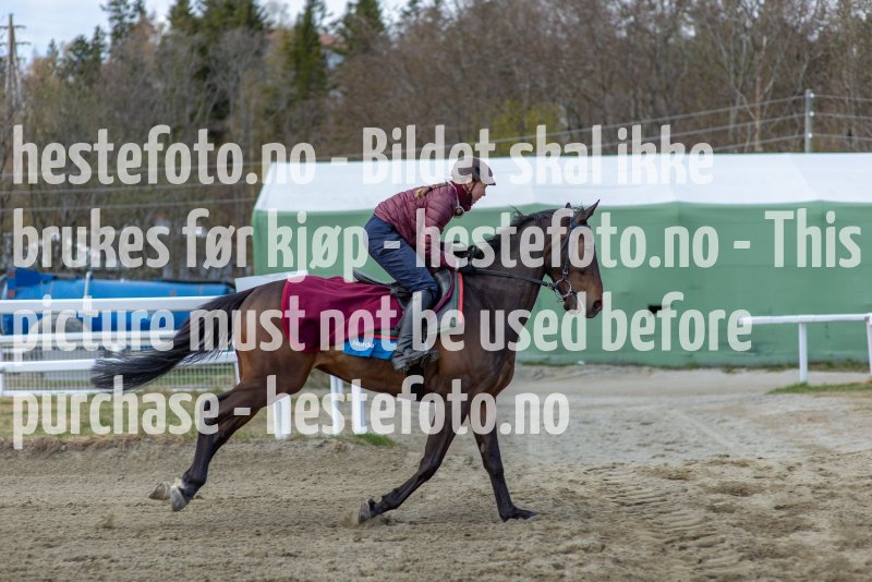 20210424-121722-EKE2887