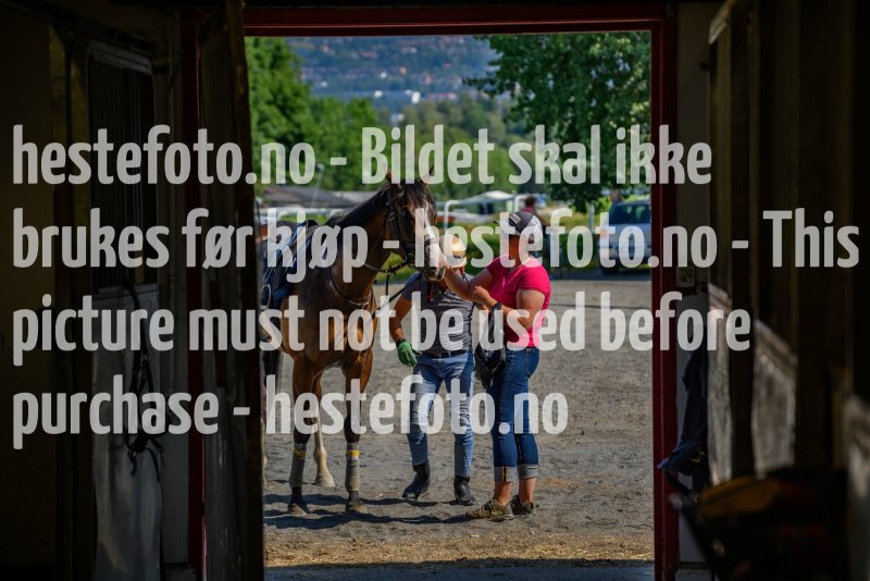 20210724-111052-DSC6144