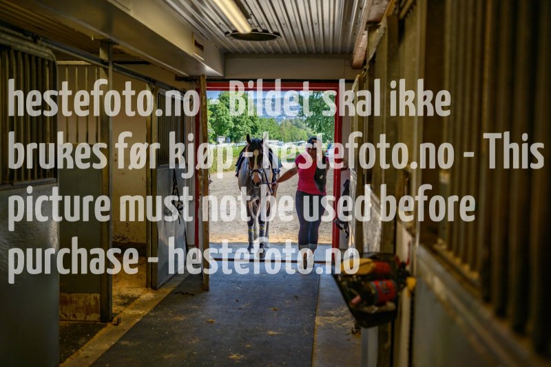 20210724-111104-DSC6150