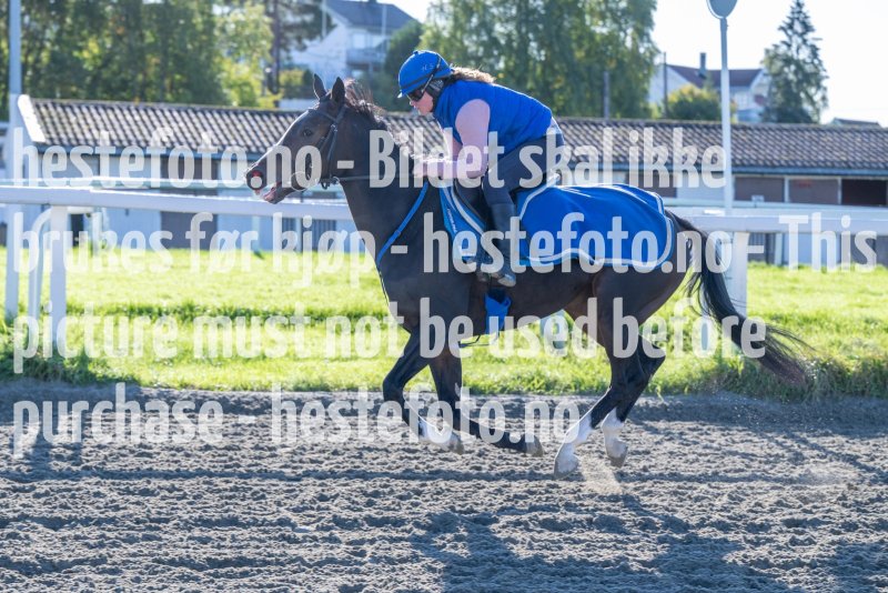 20230924-103346-DSC_3665