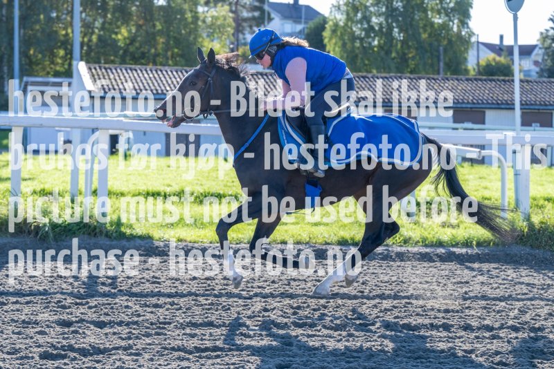 20230924-103346-DSC_3666