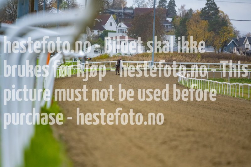 20211024-125601-DSC4306