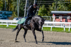 20210925-121214-DSC9205