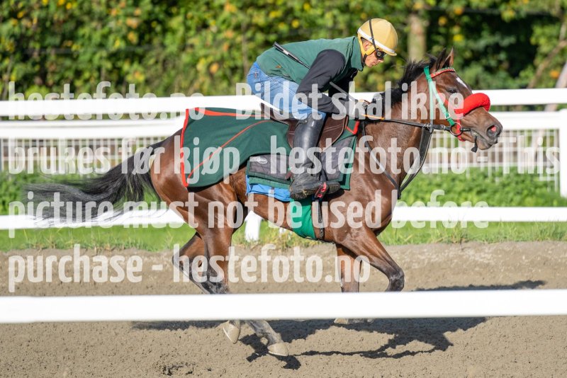 20220924-094136-DSC_9787