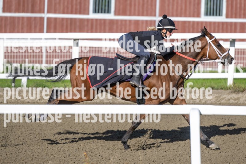 20220924-105121-DSC_0014
