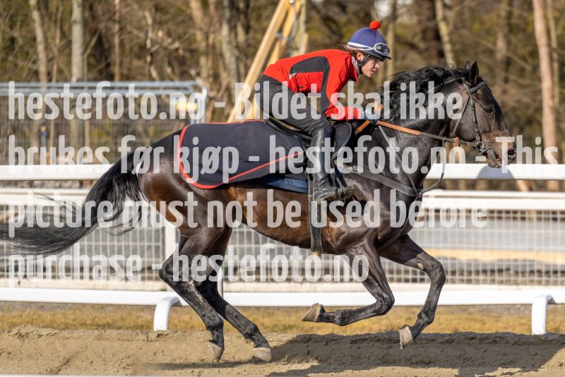 20220326-113034-DSC5888
