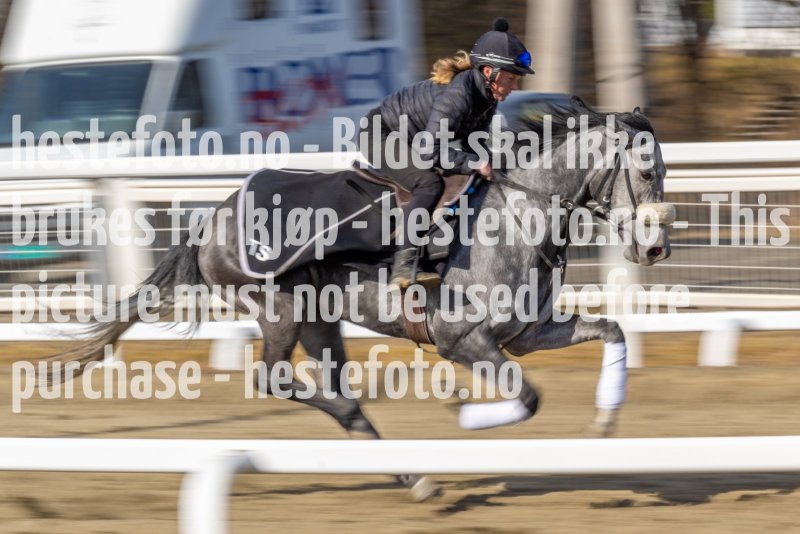 20220326-113843-DSC6032