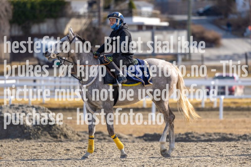 20220326-124742-DSC6137