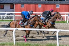 20250426-113531-DSC_9136
