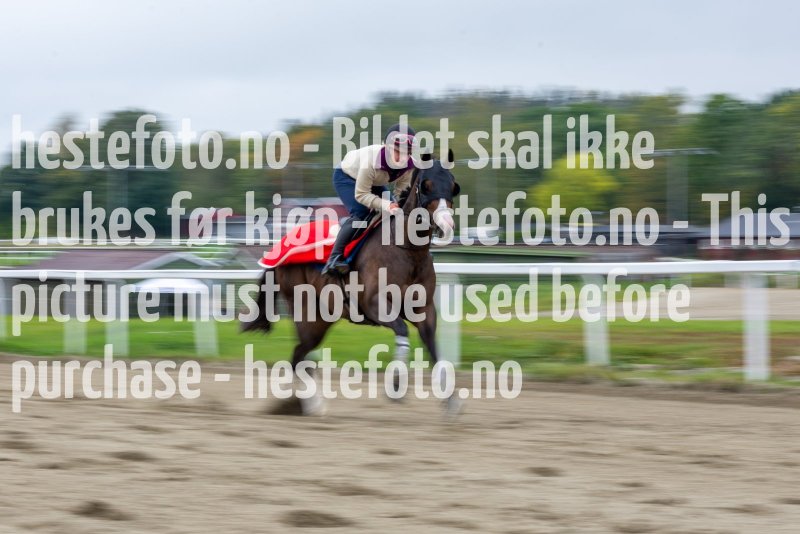 20210926-122245-EKE0808