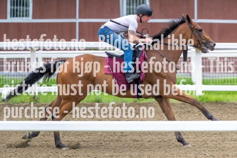 20220827-093015-DSC2831